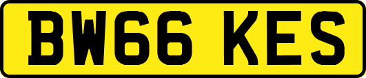 BW66KES