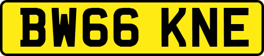 BW66KNE
