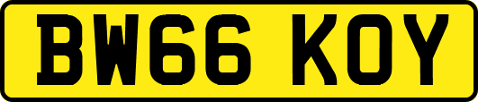 BW66KOY