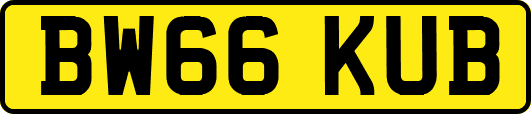 BW66KUB