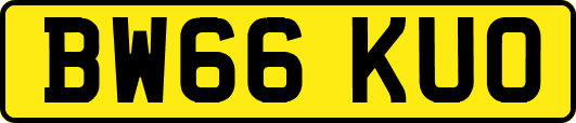 BW66KUO