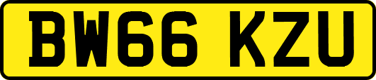 BW66KZU