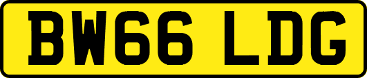 BW66LDG