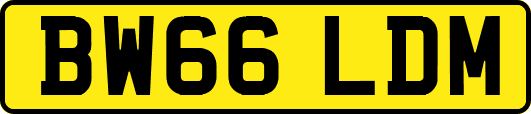 BW66LDM