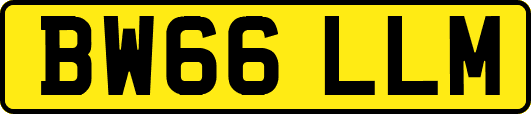 BW66LLM