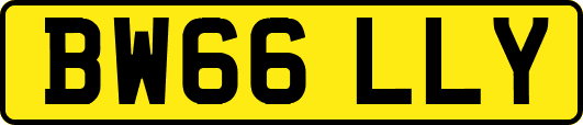 BW66LLY