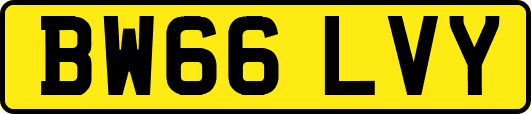 BW66LVY