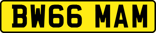 BW66MAM