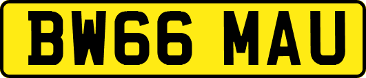 BW66MAU