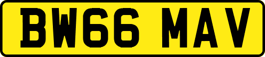 BW66MAV