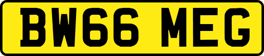 BW66MEG