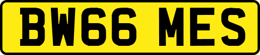 BW66MES