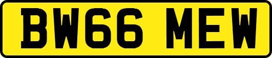 BW66MEW