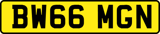 BW66MGN