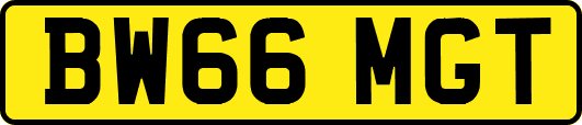 BW66MGT