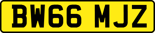BW66MJZ