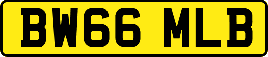 BW66MLB