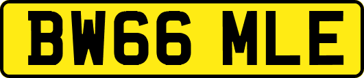 BW66MLE