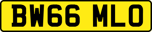 BW66MLO