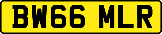 BW66MLR