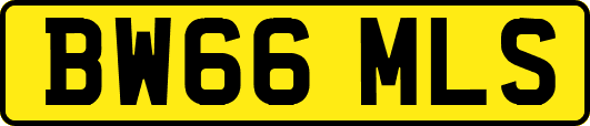 BW66MLS
