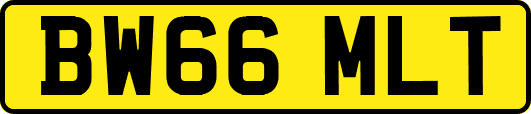 BW66MLT