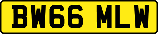 BW66MLW
