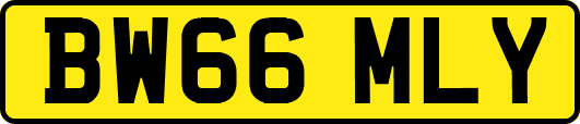 BW66MLY