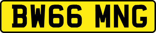 BW66MNG