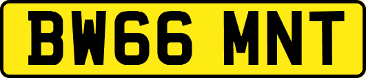 BW66MNT