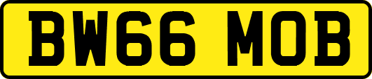 BW66MOB