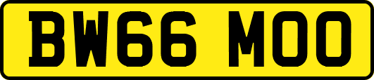 BW66MOO