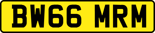 BW66MRM