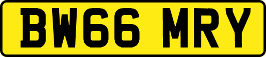 BW66MRY