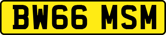 BW66MSM