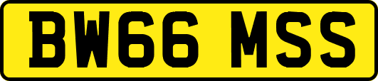 BW66MSS