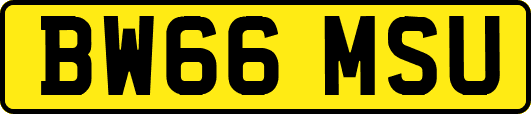BW66MSU