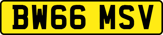 BW66MSV
