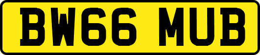 BW66MUB