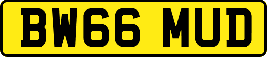 BW66MUD