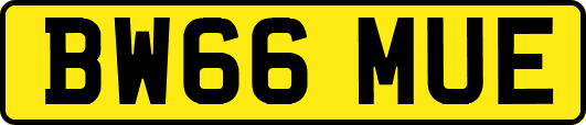 BW66MUE
