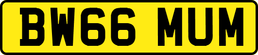 BW66MUM