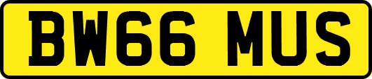 BW66MUS