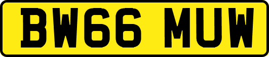 BW66MUW