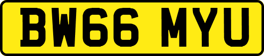 BW66MYU