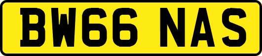BW66NAS