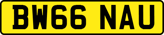 BW66NAU