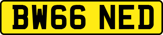 BW66NED