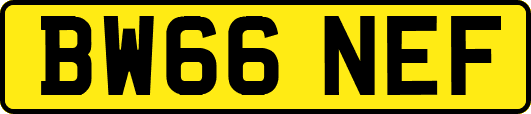 BW66NEF