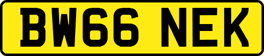BW66NEK